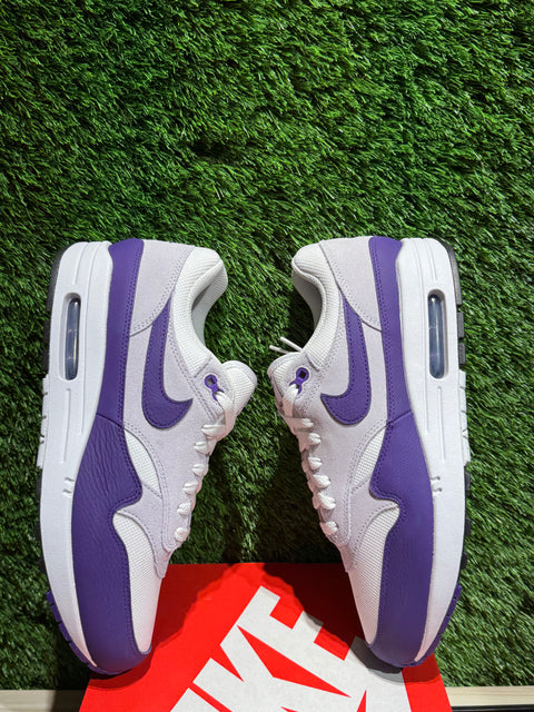 Nike Air Max 1 SC Field Purple Sz 10M