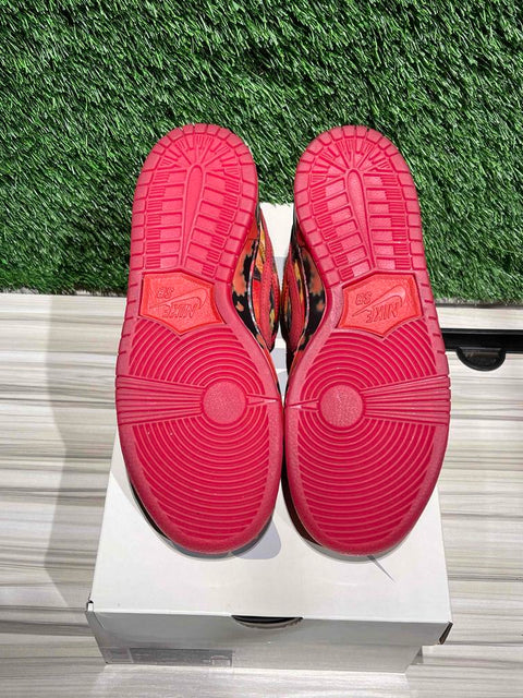 Nike SB Dunk Low The Wizard of Oz Poppy Field Sz 5.5M