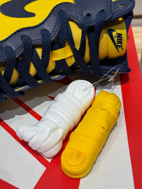 Nike Dunk High Michigan (2020) Sz 10.5