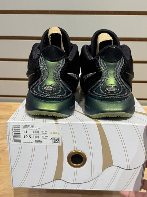 Nike LeBron 21 Tahitian Sz 11