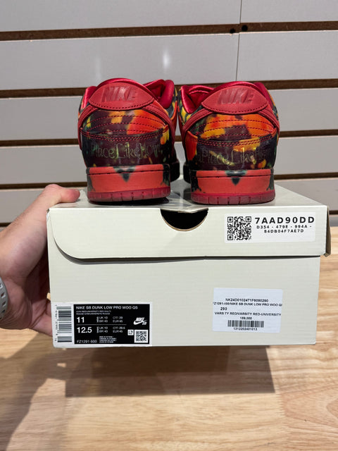 Nike SB Dunk Low The Wizard of Oz Poppy Field Sz 11