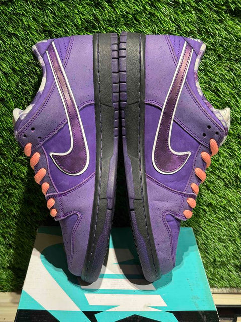 Nike SB Dunk Low Concepts Purple Lobster Sz 11M