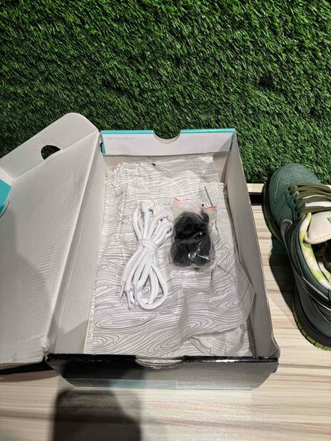 Nike SB Dunk Low Concepts Green Lobster Sz 9