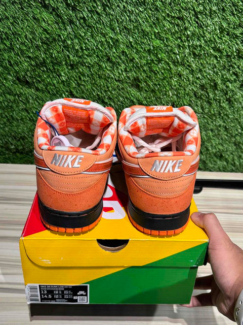 Nike SB Dunk Low Concepts Orange Lobster (Special Box) Sz 13M,