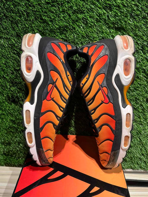 Nike Air Max Plus OG Pimento (2018) Sz 10.5M