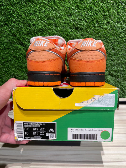 Nike SB Dunk Low Concepts Orange Lobster Sz 8.5M