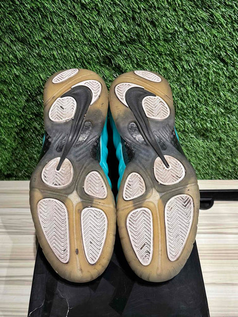 Air Nike Foamposite Pro Island Green Sz 8M