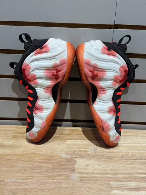 Nike Air Foamposite One Thermal Map Sz 10.5