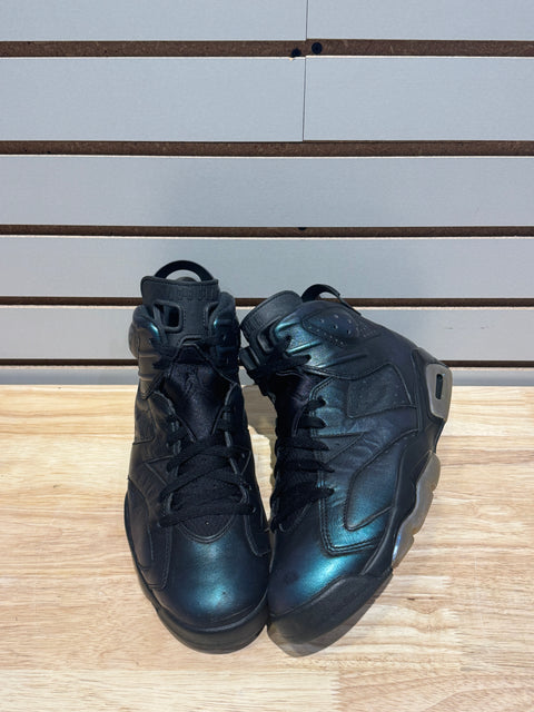 Jordan 6 Retro All-Star Chameleon (2017) Sz 11