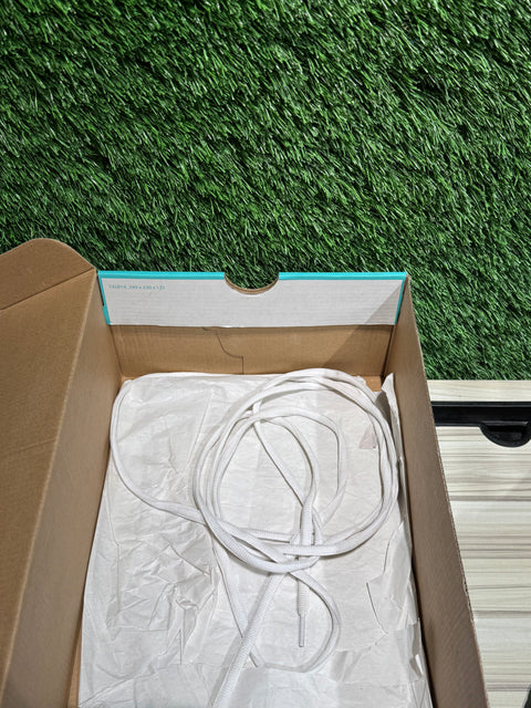 Nike SB Dunk Low Pro J-Pack Chicago Sz 10.5M