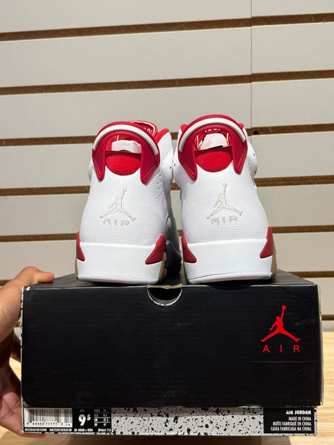 Jordan 6 Retro Alternate Hare Sz 9.5