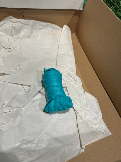 Nike SB Dunk High Flamingo Sz 11