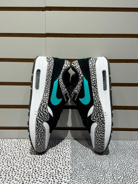 Jordan 3 Retro & Nike Air Max 1 atmos Pack Sz 9