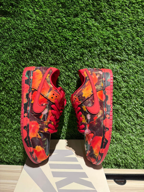 Nike SB Dunk Low The Wizard of Oz Poppy Field Sz 6.5M