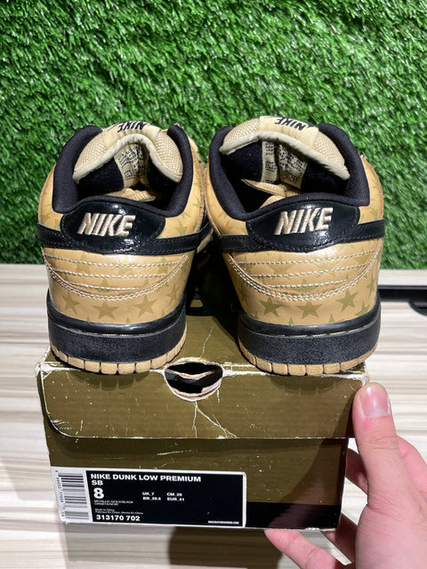 Nike SB Dunk Low Trickstar Sz 8M