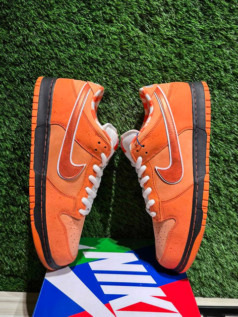 Nike SB Dunk Low Concepts Orange Lobster (Special Box) Sz 13M,