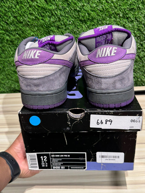 Nike SB Dunk Low Purple Pigeon Sz 12
