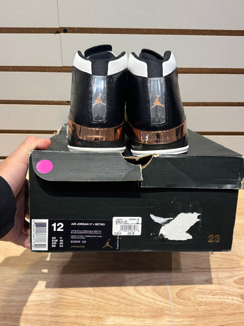 Jordan 17 Retro Copper (2016) Sz 12