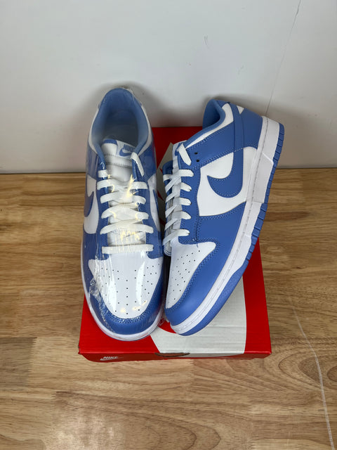 DS Polar Blue Nike Dunk Low Sz 12