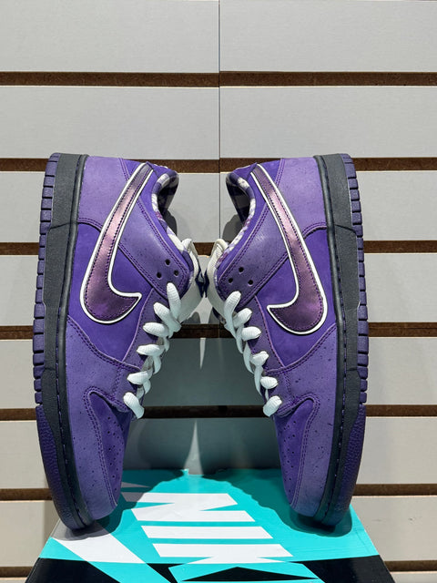 Nike SB Dunk Low Concepts Purple Lobster Sz 10.5