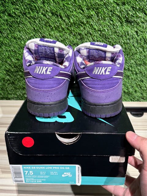 Nike SB Dunk Low Concepts Purple Lobster Sz 7.5M