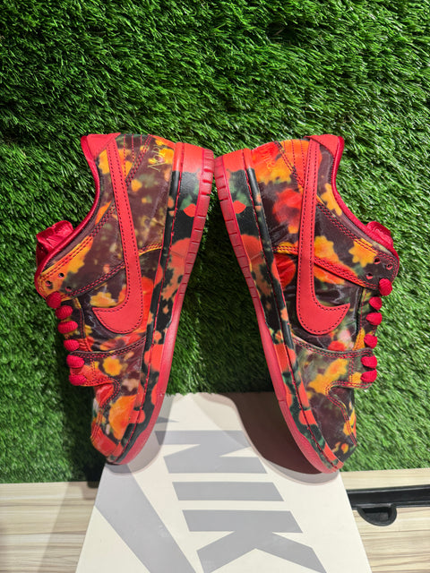 Nike SB Dunk Low The Wizard of Oz Poppy Field Sz 7.5