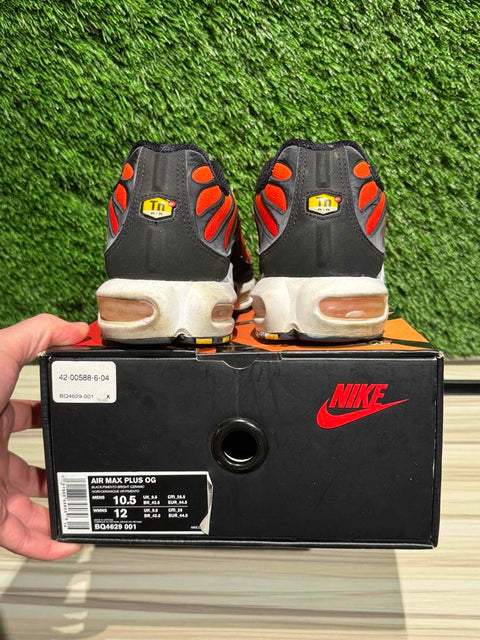 Nike Air Max Plus OG Pimento (2018) Sz 10.5M