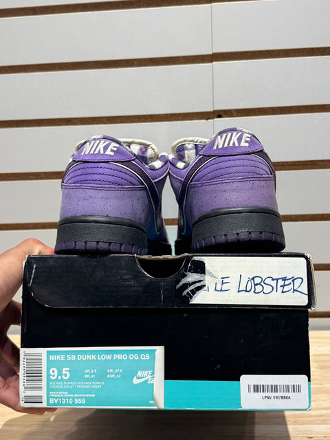 Nike SB Dunk Low Concepts Purple Lobster Sz 9.5