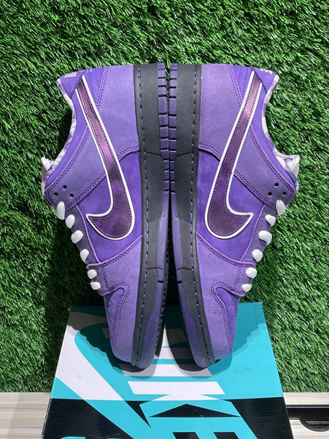 Nike SB Dunk Low Concepts Purple Lobster Sz 12M