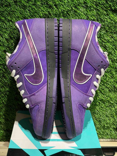 Nike SB Dunk Low Concepts Purple Lobster Sz 12M