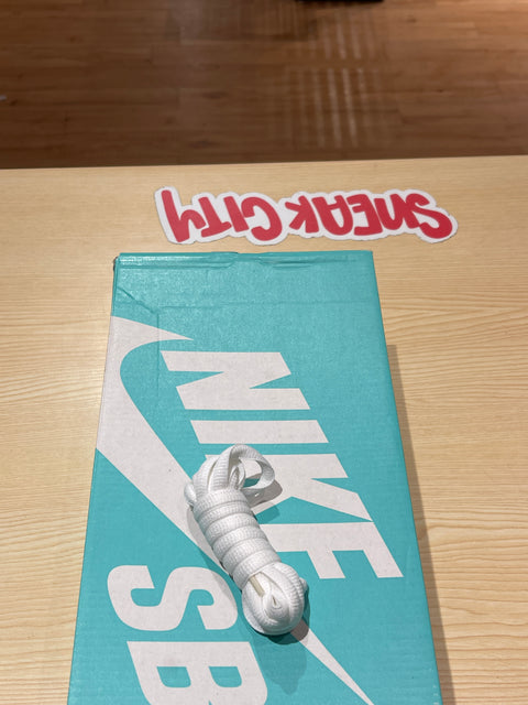 Nike SB Dunk Low White Ice Sz 7.5M/9W