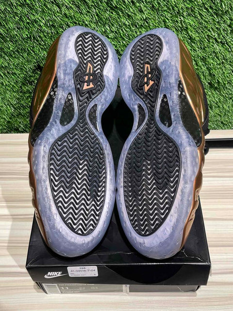 Nike Air Foamposite One Copper (2017) SZ 11