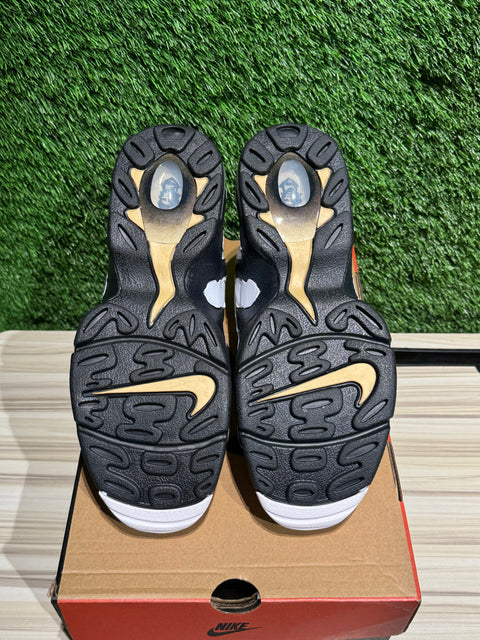 Nike Air DT Max '96 Colorado Away White Black Sz 10M