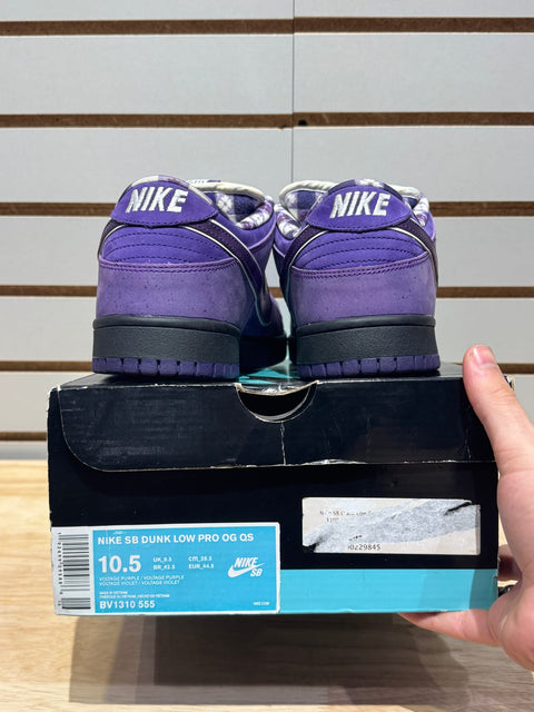 Nike SB Dunk Low Concepts Purple Lobster Sz 10.5