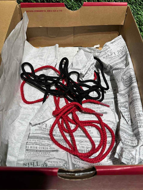 Nike Air Max 95 OG Levis Black Sz 9.5M