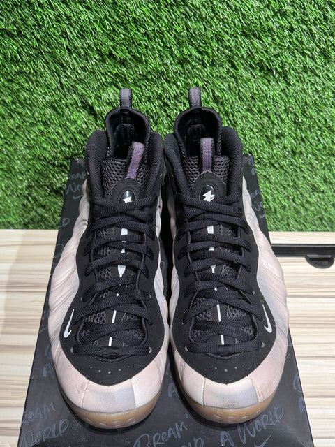 Nike Air Foamposite One QS Dream a World Sz 11