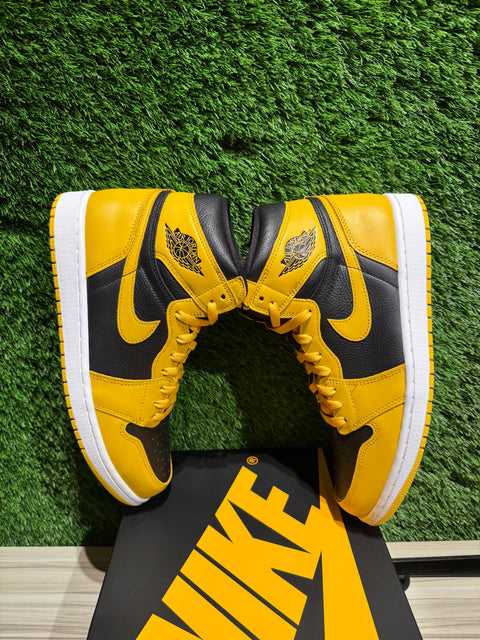 Jordan 1 Retro High Pollen Sz 10.5