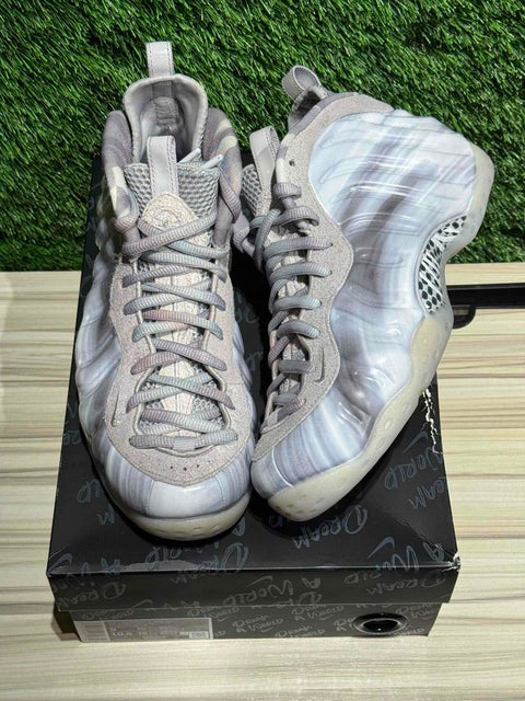 Nike Air Foamposite One Dream A World Grey Sz 9...