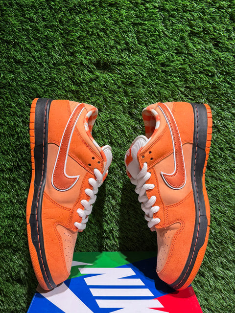 Nike SB Dunk Low Concepts Orange Lobster Sz 9.5