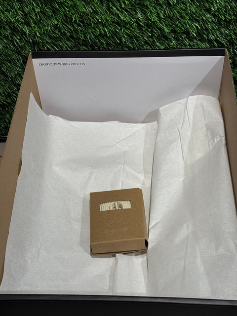 Jordan 1 Retro Low OG EX Coconut Milk Sz 9