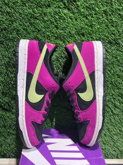 Nike SB Dunk Low Pro ACG Terra Red Plum Sz 11M