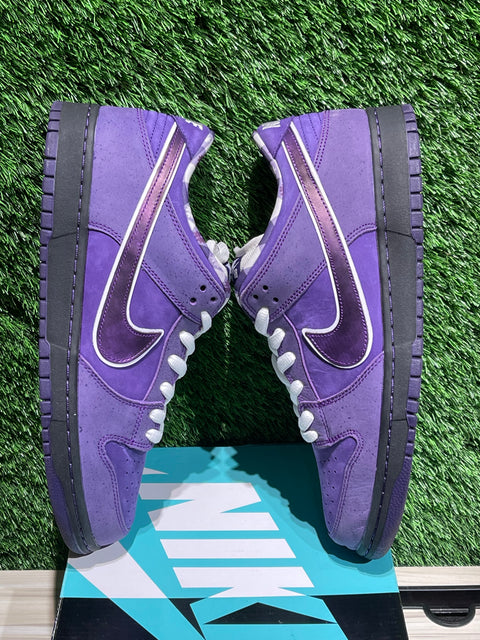 Nike SB Dunk Low Concepts Purple Lobster Sz 12M