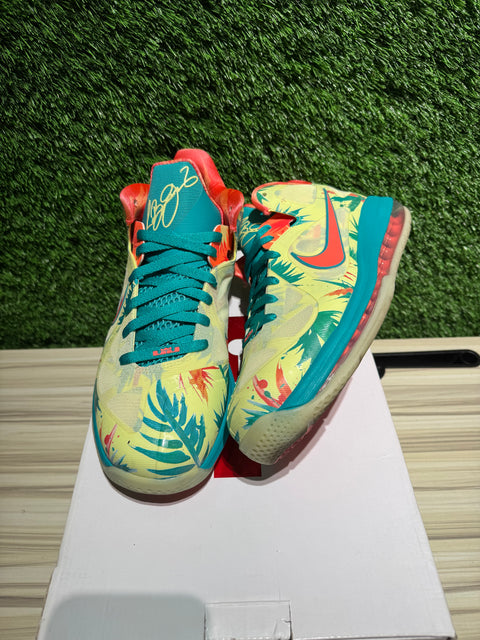 Nike LeBron 9 Low LeBronald Palmer (2022) Sz 11.5M