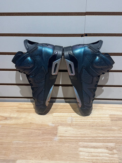 Jordan 6 Retro All-Star Chameleon (2017) Sz 11