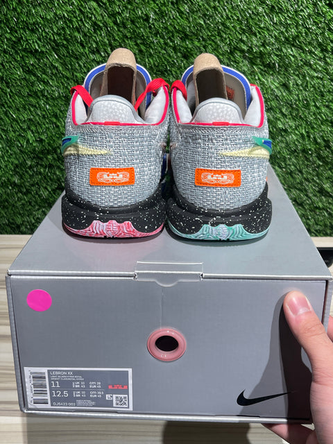 Nike LeBron 20 Nike Lifer Sz 11