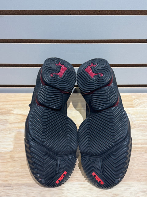 Nike LeBron 16 Fresh Bred Sz 10.5