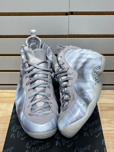 Nike Air Foamposite One Dream A World Grey Sz 11.5