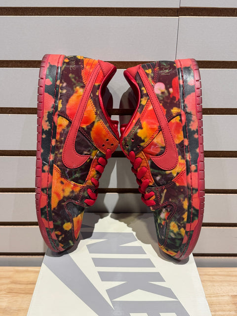 Nike SB Dunk Low The Wizard of Oz Poppy Field Sz 11