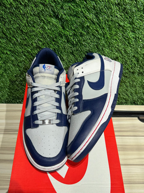 Nike Dunk Low EMB NBA 75th Anniversary Brooklyn Nets Sz 11M