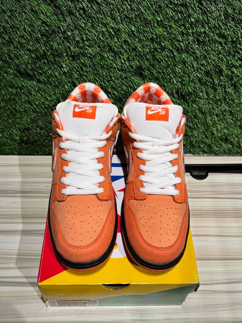 Nike SB Dunk Low Concepts Orange Lobster (Special Box) Sz 13M,